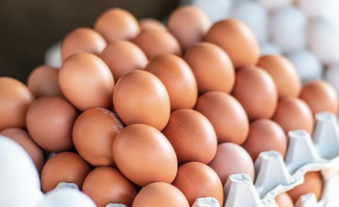 Les producteurs d’œufs exigent la levée des fermetures de frontières.